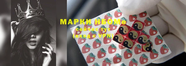крисы Баксан