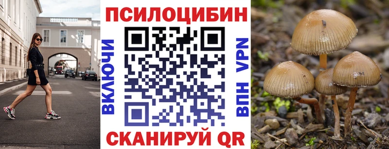 Галлюциногенные грибы Psilocybe  Свободный 