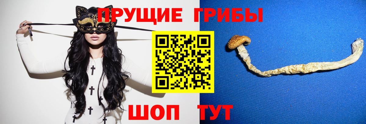 Галлюциногенные грибы Psilocybe  Вход с VPN  Свободный  Псилоцибиновые грибы Magic Shrooms 